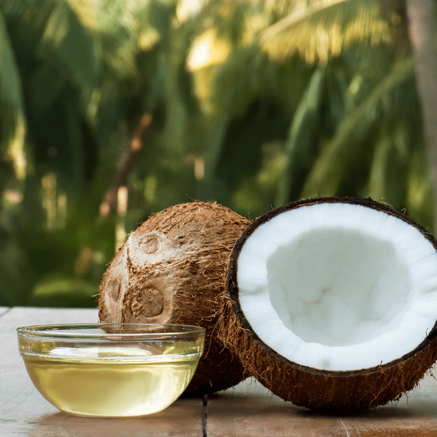 A couple of coconuts one complete and one broken open, next to a bowl of coconut oil.